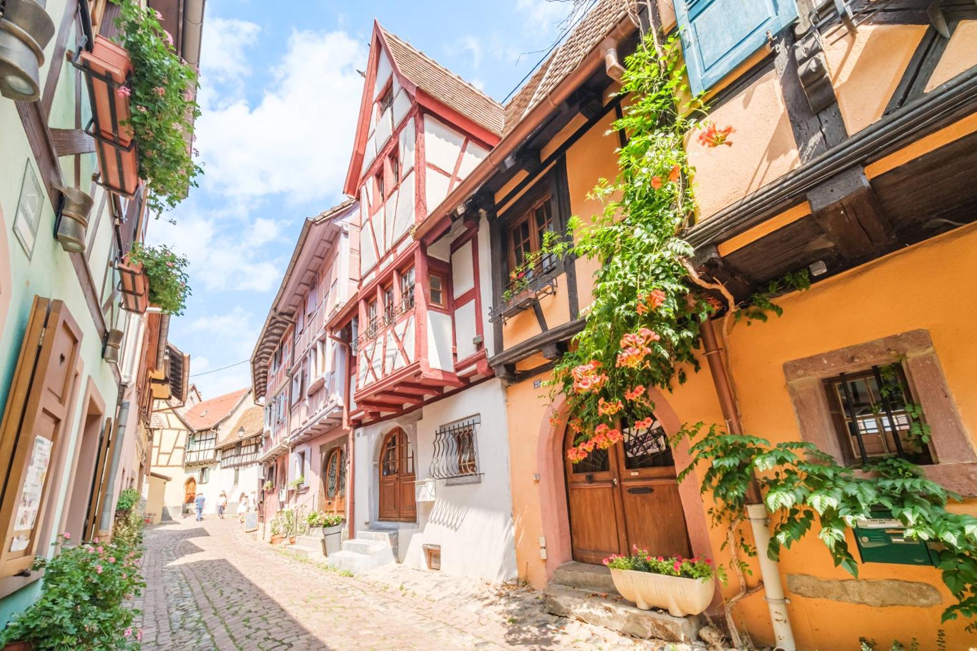 L Oriel Du Rempart Nord Villa Eguisheim Buitenkant foto